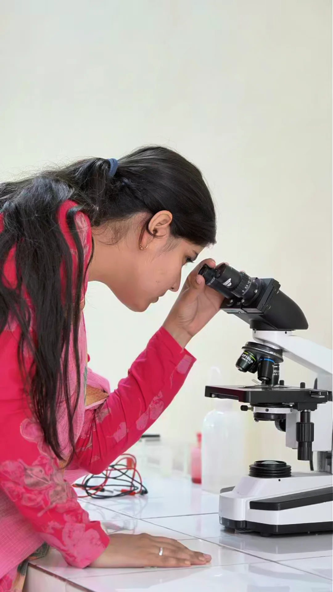 Career Options After BSc Botany and Zoology